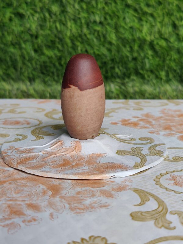 Original & Natural 2 Inch Narmadeshwar Shivling Narmada Shiva Lingam Banalinga Shiva Lingam for Pooja Small Shivling for Home Worship Puja Articles Lingam for Meditation & Prayer ( 2 INCH LINGAM ONLY) - Image 3