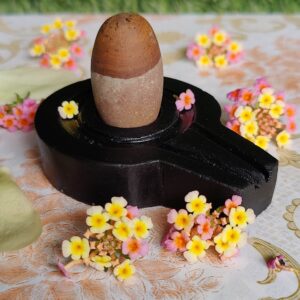 Narmada Stone Shivling With Stand