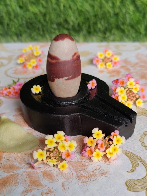 Small Narmadeshwar Shivling - Image 3