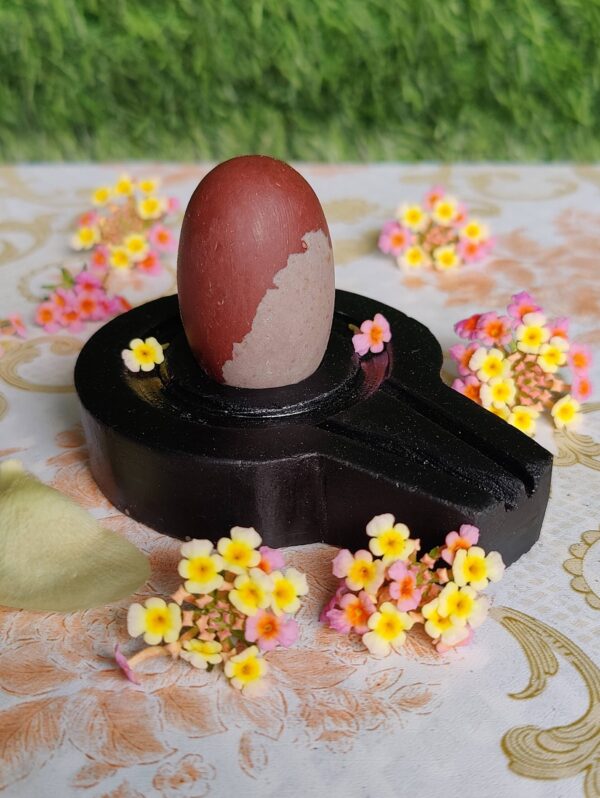 Original Narmadeshwar Shivling