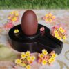 Swayambhu Narmadeshwar Shivling