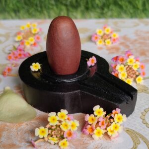 Swayambhu Narmadeshwar Shivling