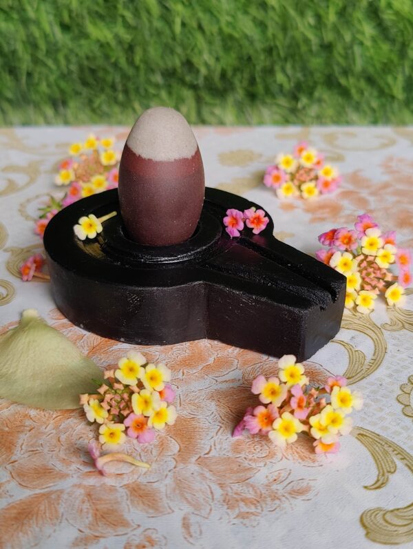 Divya Narmadeshwar Shivling