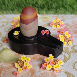 Lord Narmadeshwar Shivling