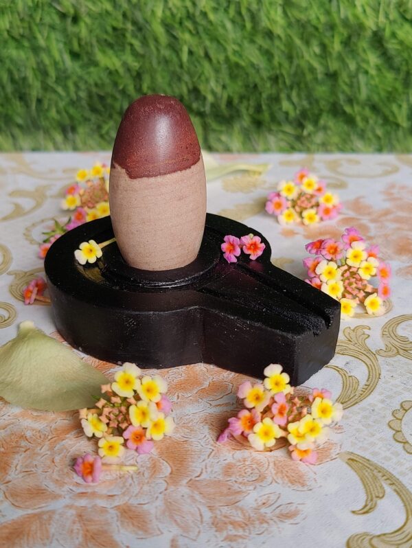 narmadeshwar shivling online