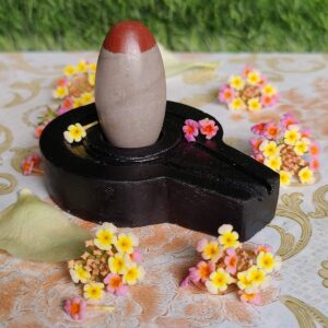 instaling of narmadeshwar shivling