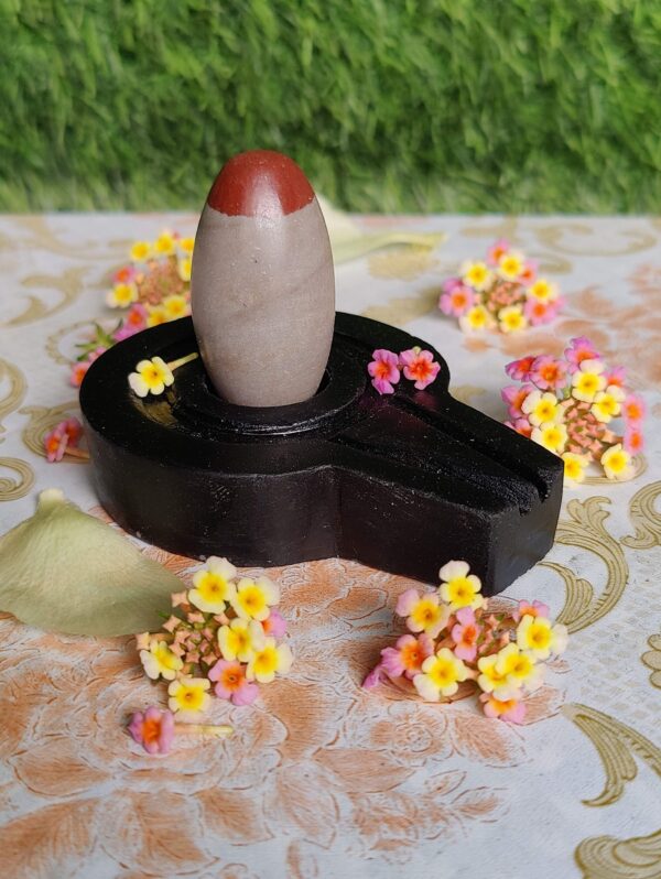 instaling of narmadeshwar shivling