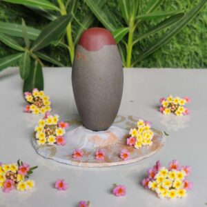 Natural 3 Inch Narmadeshwar Shivling