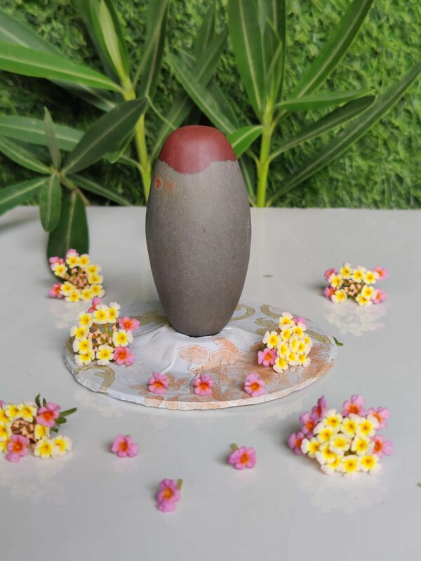 Natural 3 Inch Narmadeshwar Shivling