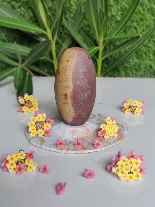 Natural 3 Inch Narmadeshwar Shivling - Image 2
