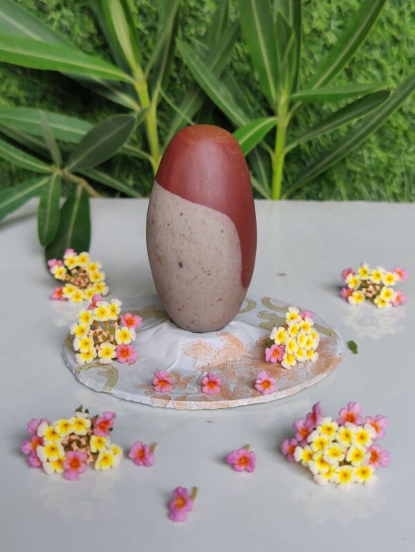Swayambhu Narmadeshwar Shivling 3 Inch For Home Puja - Image 4