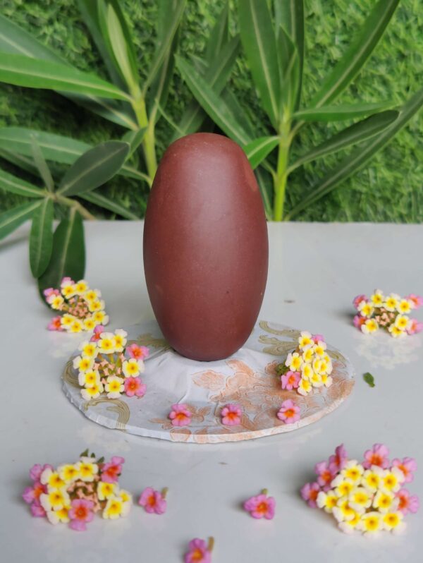 swayambhu naarmadeshwar shivling