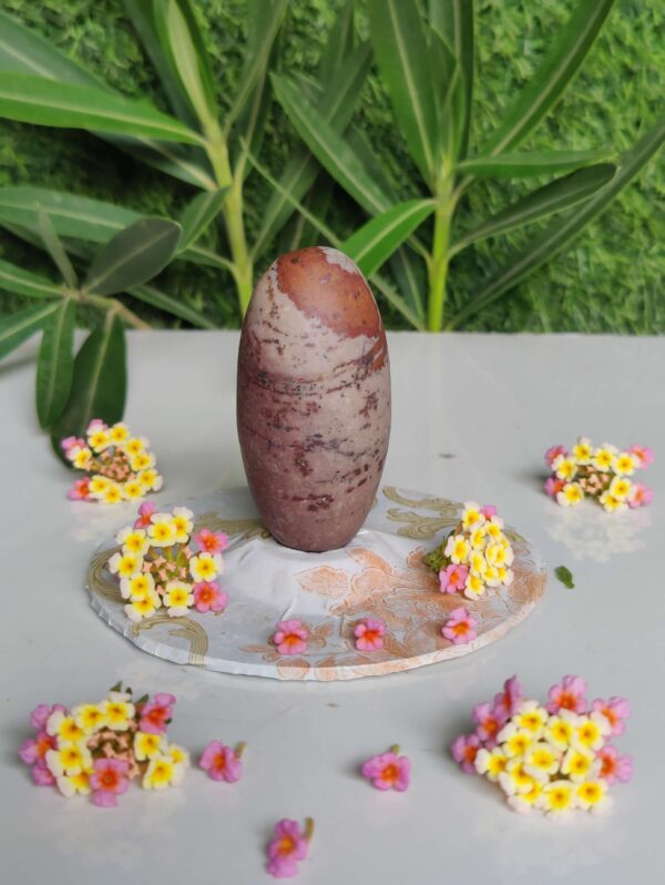 Rare & Pure Narmadeshwar Shivling 3 Inch Lingam - Image 3