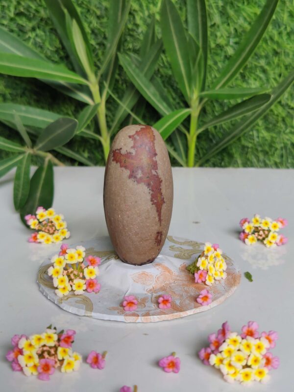 Rare & Pure Narmadeshwar Shivling 3 Inch Lingam - Image 2