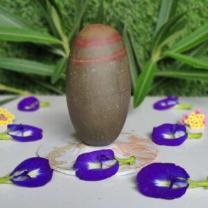 Best Narmadeshwar Shivling