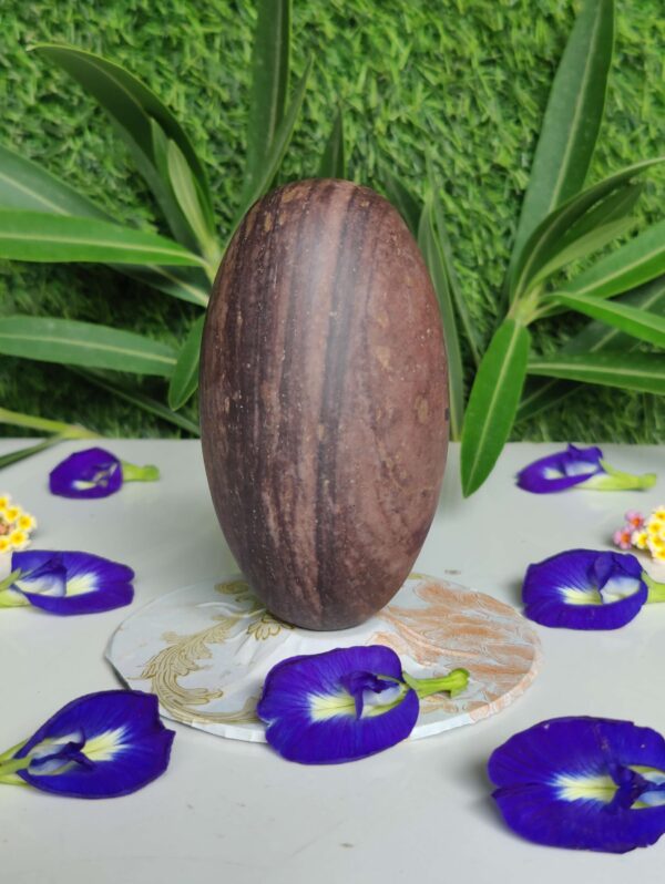 Natural Power Narmadeshwar Shivling - Image 3