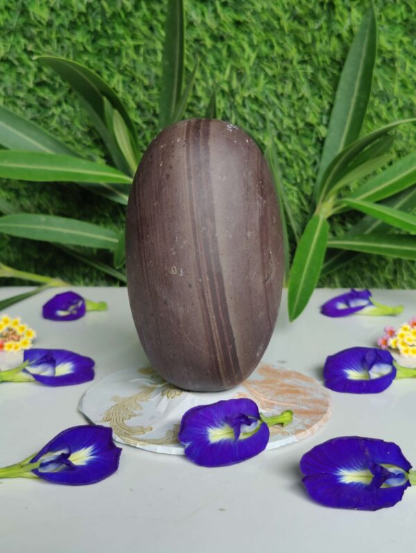 Unique janeudhari Narmada Shivling - Image 3