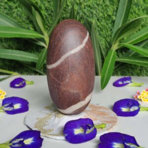 Swayambhu Narmadeshwar Shivling