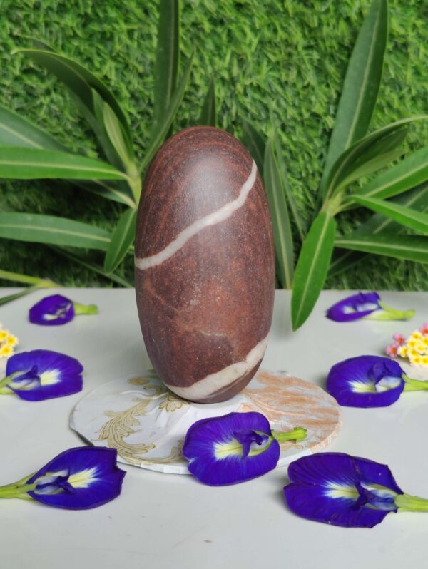 Swayambhu Narmadeshwar Shivling