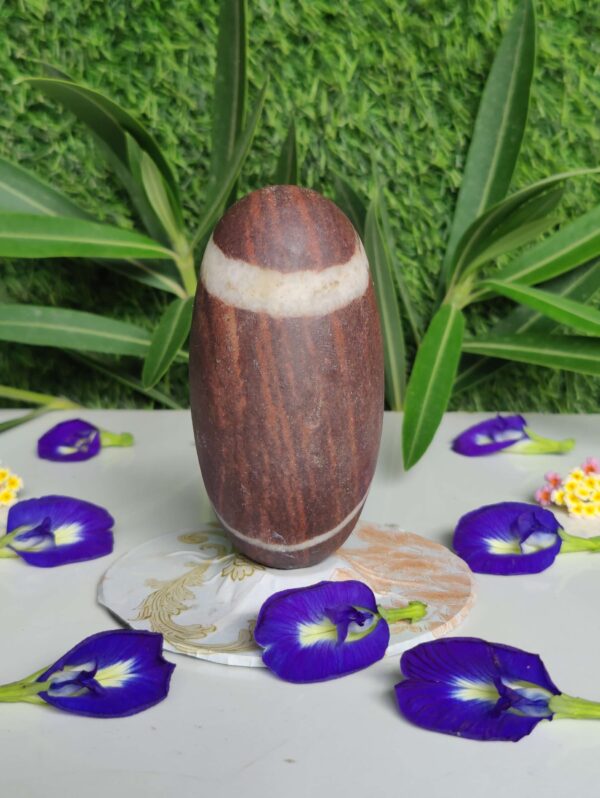 Swayambhu Narmadeshwar Shivling - Image 3