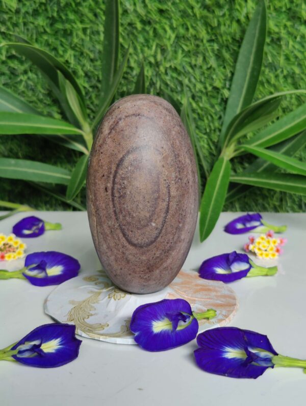 Swayambhu Narmadeshwar Shivling - Image 2