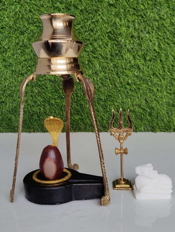 Narmadeshwar Shivling Art
