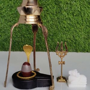 Benifits Of Narmadeshwar Shivling Pooja