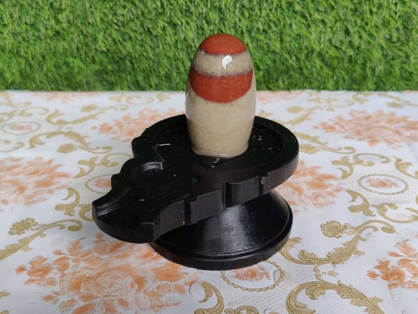 Tripund Narmadeshwar shivling