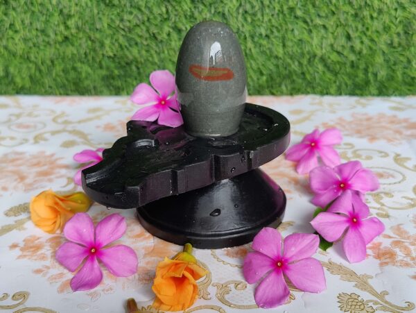 Natural Tilak Narmadeshwar Shivling