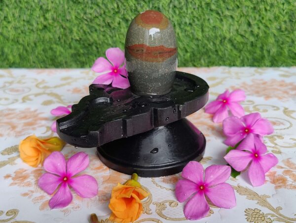 Natural Tilak Narmadeshwar Shivling - Image 3