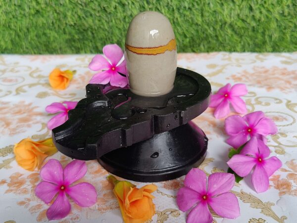 Tilak Narmadeshwar Shiva Lingam With Narmada Stone Jaladhara - Image 2