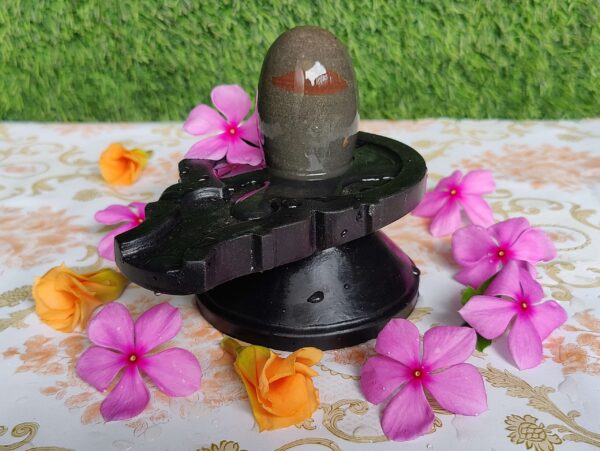 Tilak Narmadeshwar Shiva Lingam With Narmada Stone Jaladhara - Image 3