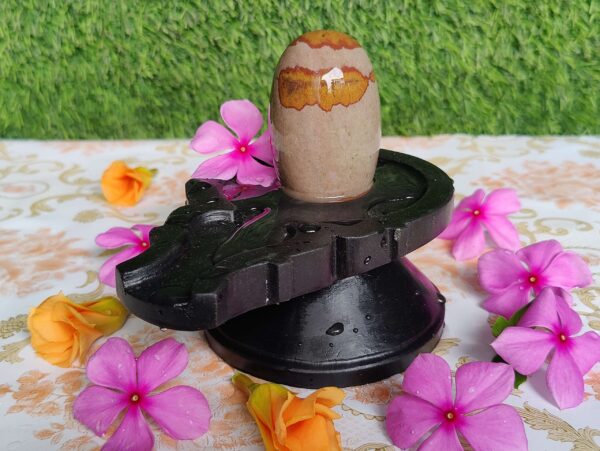 Tilak Narmadeshwar Shiva Lingam With Narmada Stone Jaladhara