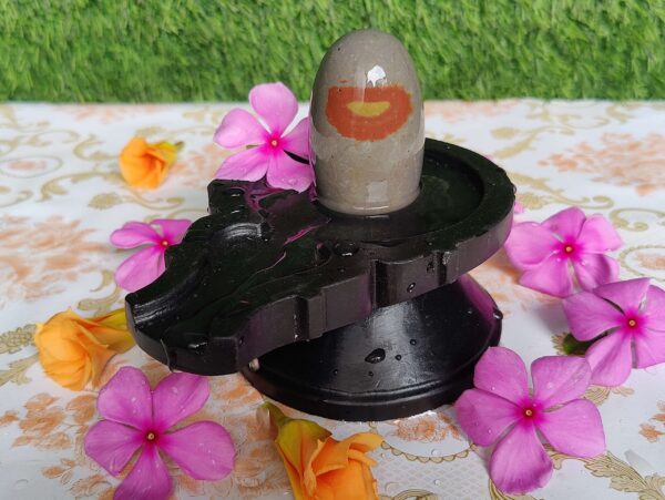 Tripund Dhari Narmadeshwar Shivling - Image 2