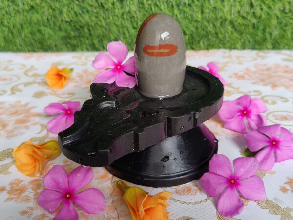 Tripund Dhari Narmadeshwar Shivling