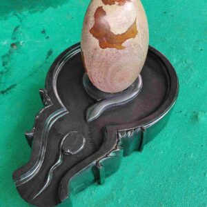 Holy Narmadeshwar Shivling