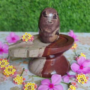 Narmada Shivling With Narmada Stone Jaladhari
