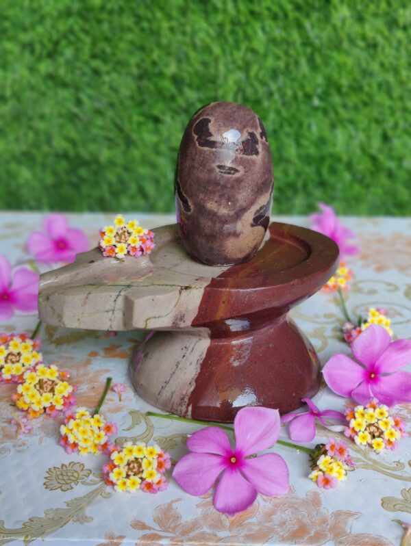 Narmada Shivling With Narmada Stone Jaladhari