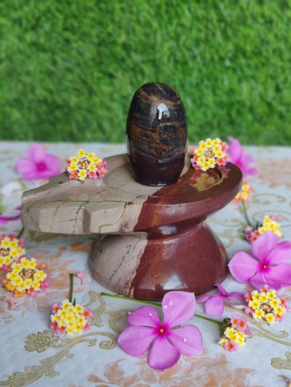 Narmada Shivling With Narmada Stone Jaladhari - Image 2