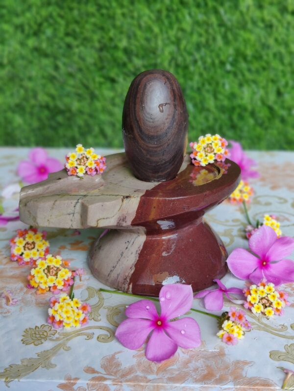 Narmada Shivling With Narmada Stone Jaladhari - Image 3