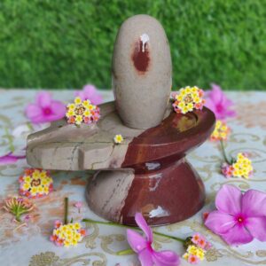 Unique Narmadeshwar Shivling