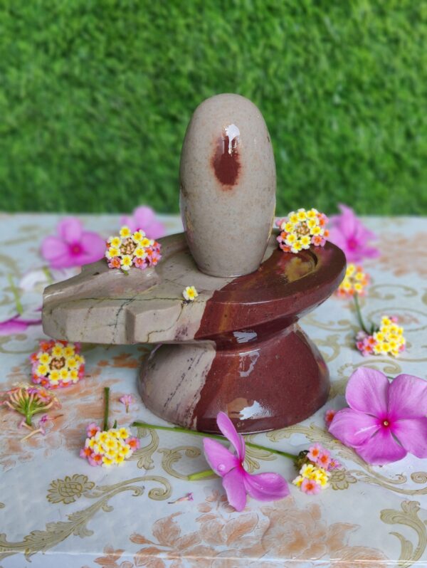 Unique Narmadeshwar Shivling