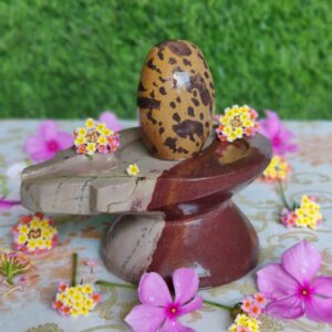 Narmadeshwar Shiva Lingam With Narmada Stone Jaladhara