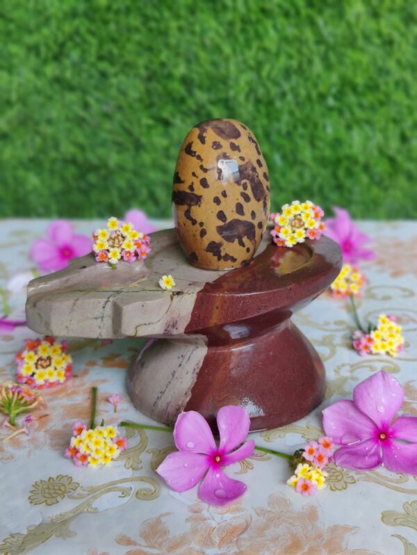Narmadeshwar Shiva Lingam With Narmada Stone Jaladhara