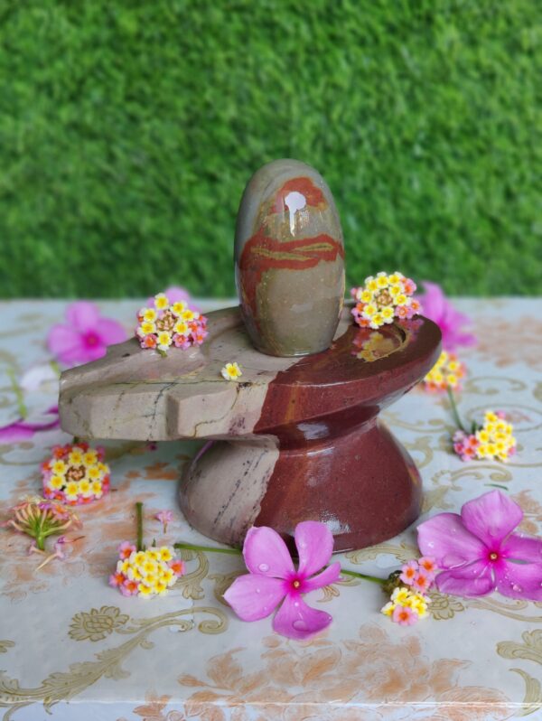 Natural Power Shiva Lingam With lingam Yoni Base Stand - Image 5