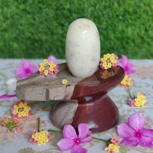 Amarnath Narmadeshwar Shivling With Jaladhari Base