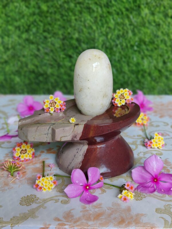 Amarnath Narmadeshwar Shivling With Jaladhari Base