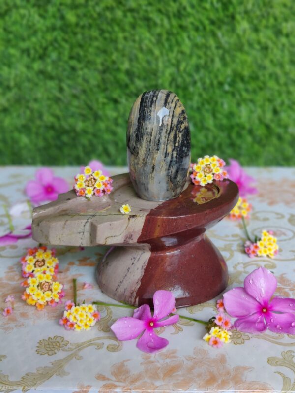 Unique Symbols Narmada Shivling & Yoni Base Jaladhara - Image 4