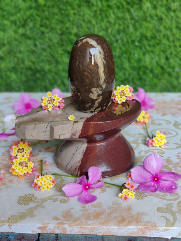 Unique Symbols Narmada Shivling & Yoni Base Jaladhara - Image 2