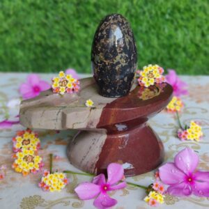 Unique Symbols Narmada Shivling & Yoni Base Jaladhara